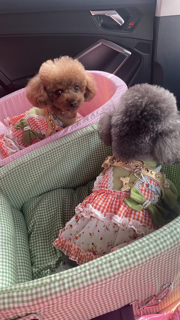 Customer photo shared with Elsamilu