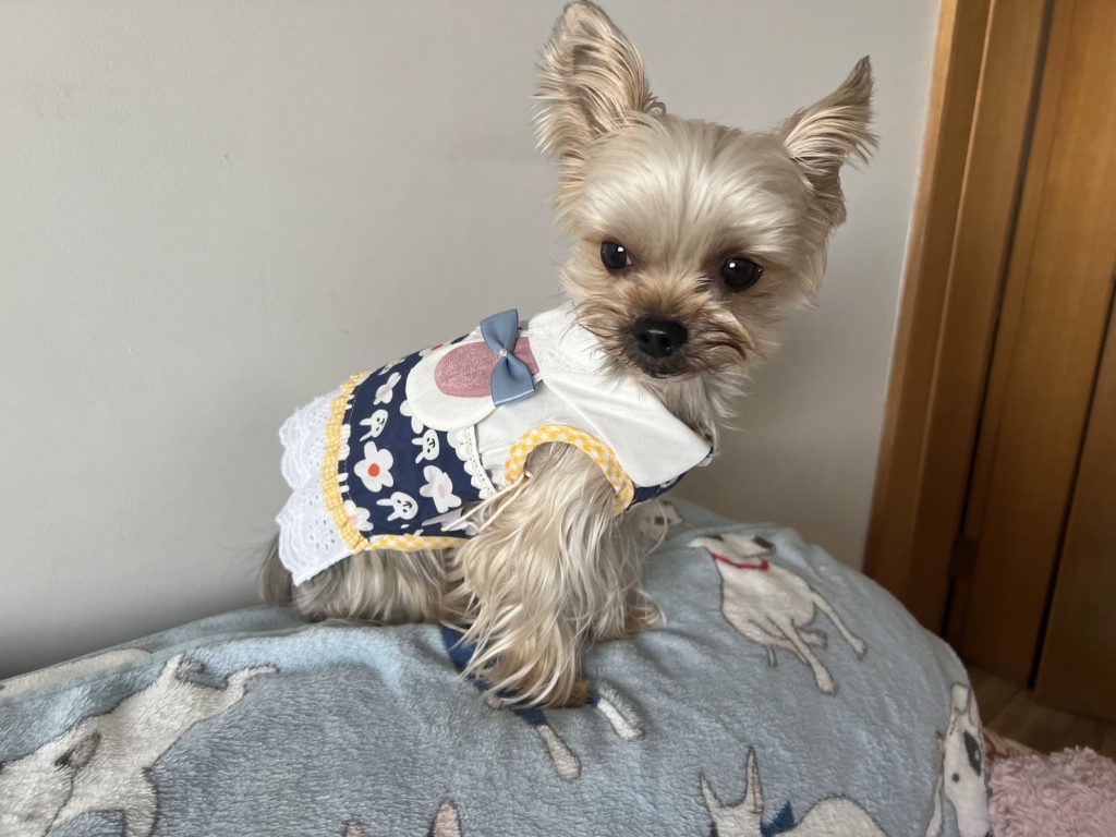 Customer photo shared with Elsamilu