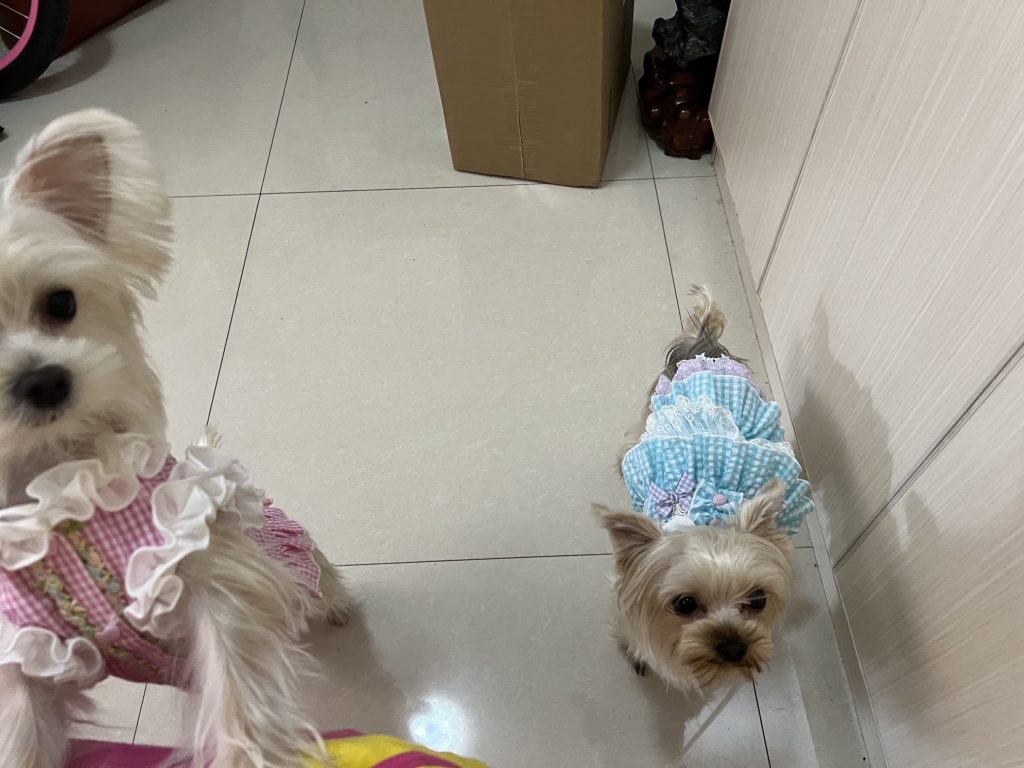 Customer photo shared with Elsamilu