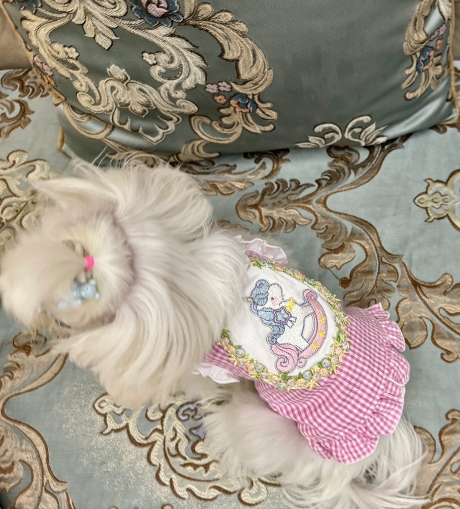 Customer photo shared with Elsamilu