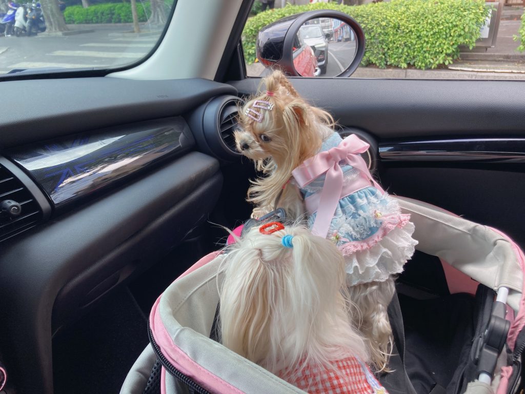 Customer photo shared with Elsamilu