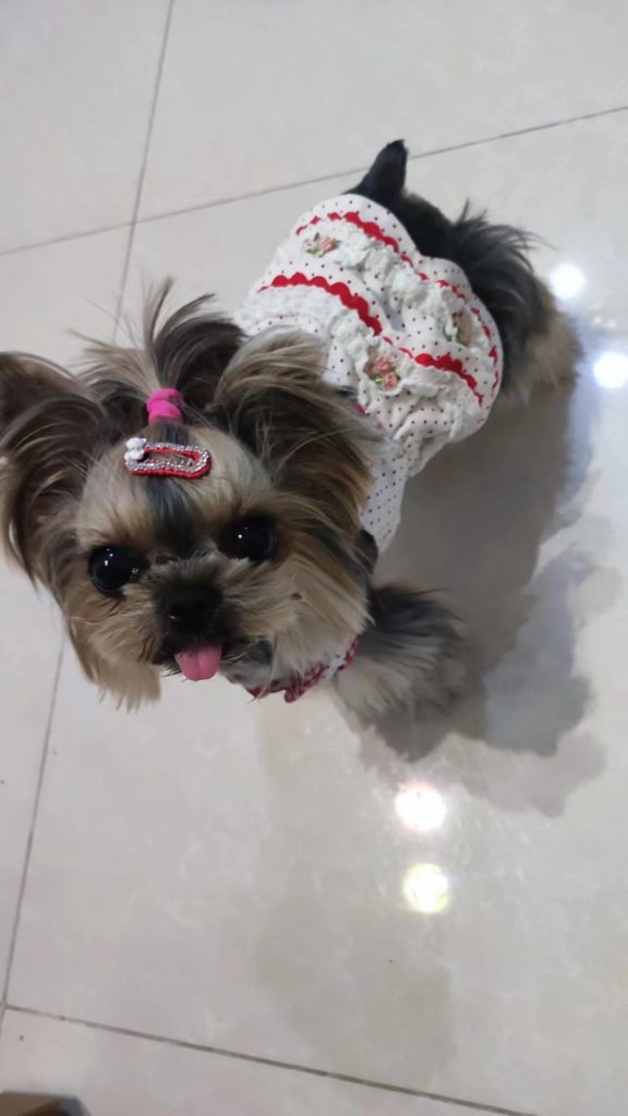 Customer photo shared with Elsamilu