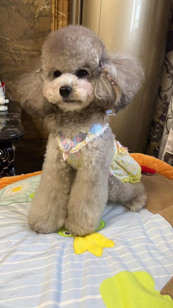 Customer photo shared with Elsamilu