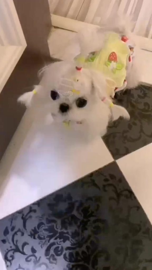 Customer video shared with Elsamilu