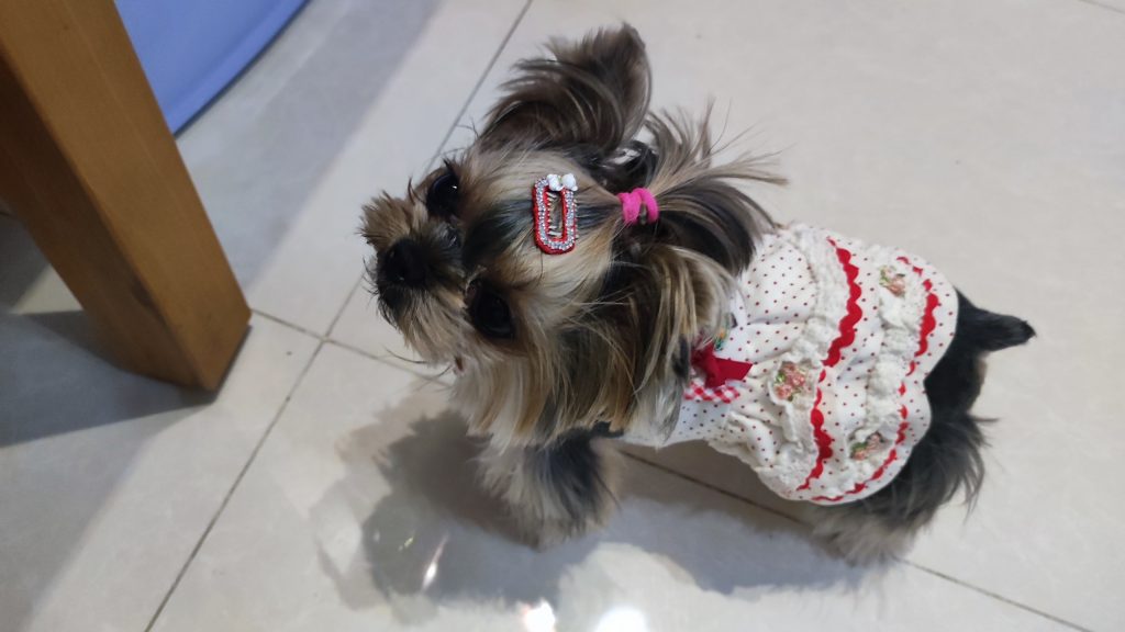 Customer photo shared with Elsamilu