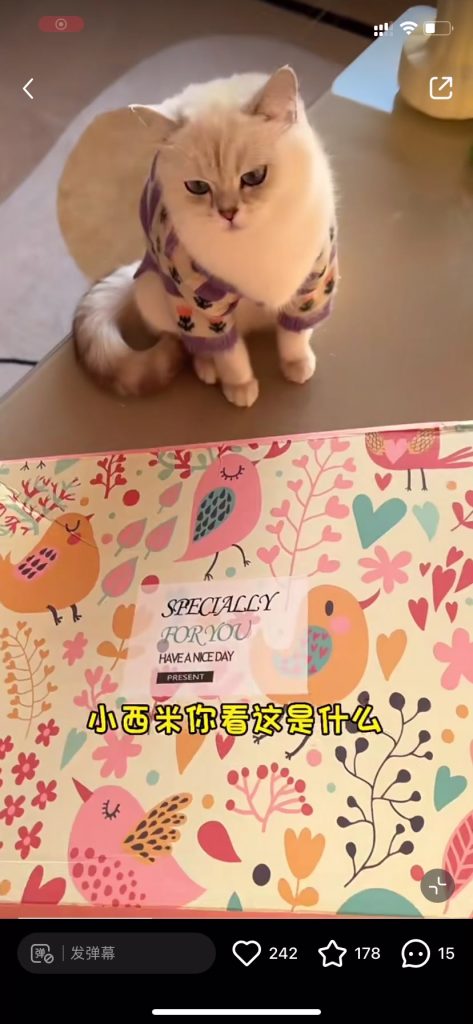 Customer video shared with Elsamilu