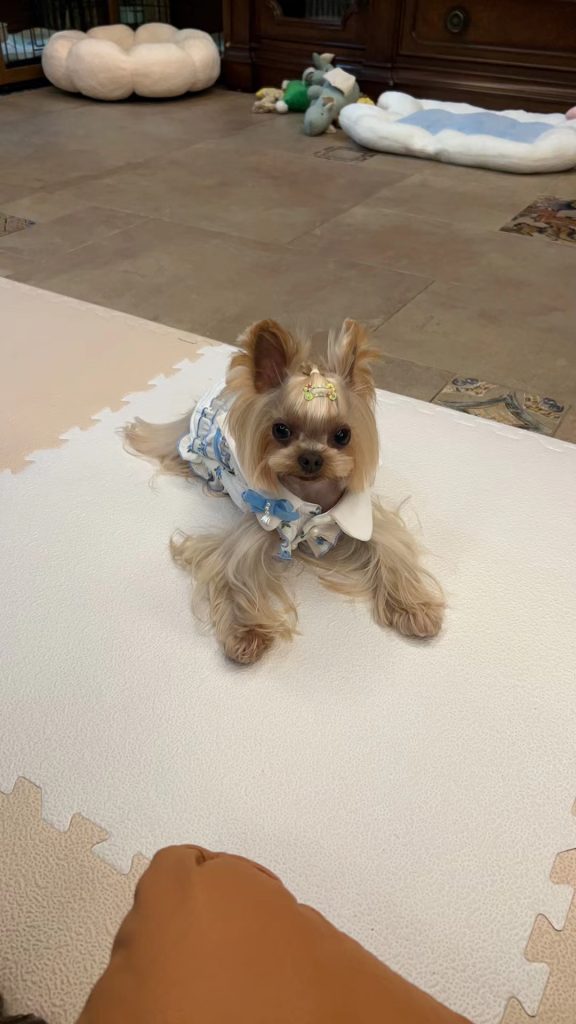 Customer photo shared with Elsamilu