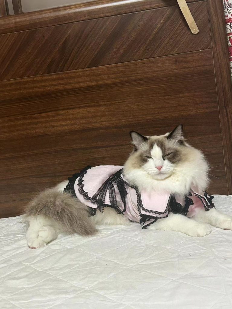 Customer photo shared with Elsamilu