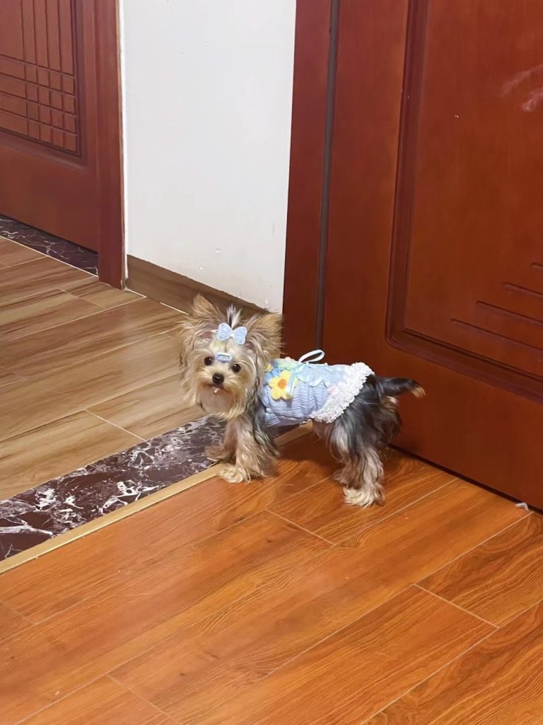 Customer photo shared with Elsamilu