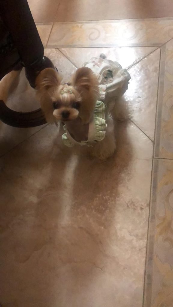 Customer photo shared with Elsamilu