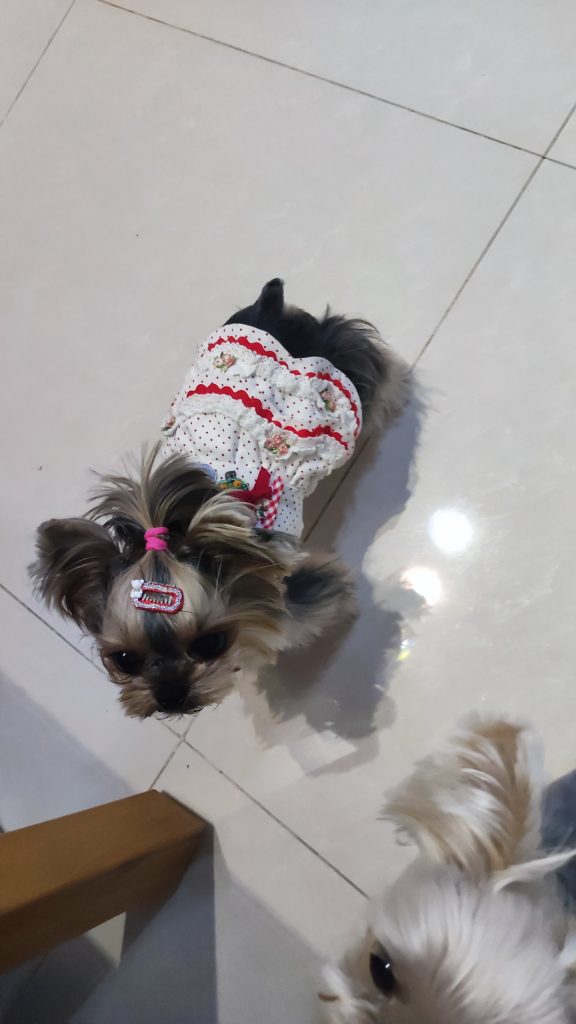 Customer photo shared with Elsamilu