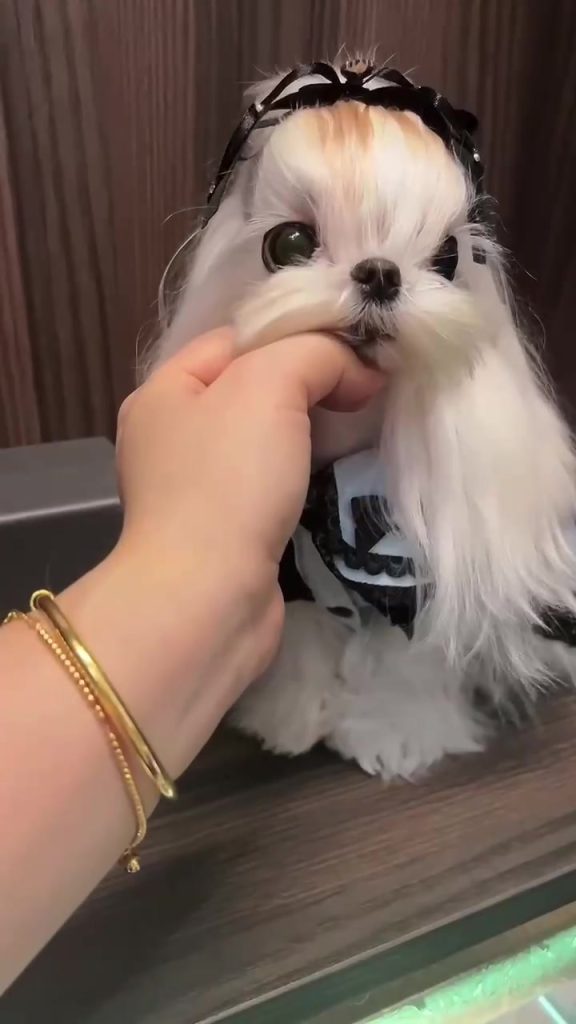 Customer video shared with Elsamilu