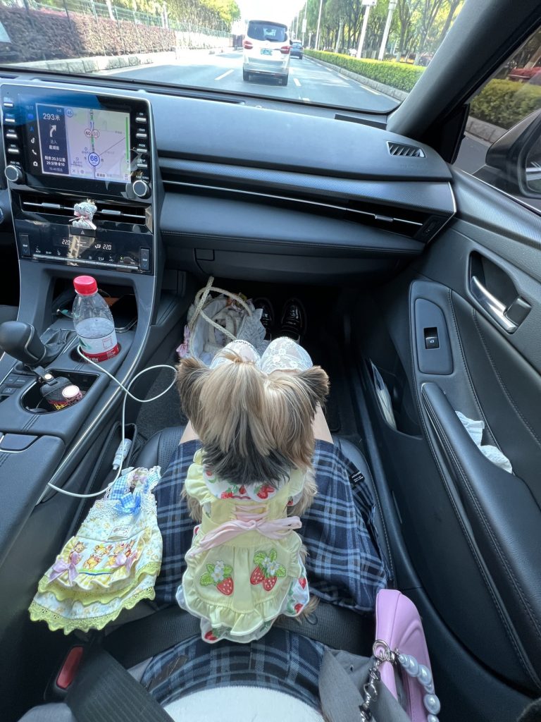 Customer photo shared with Elsamilu