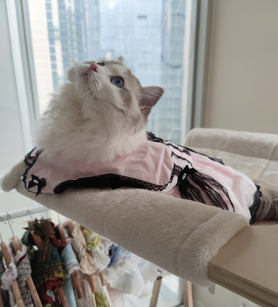 Customer photo shared with Elsamilu