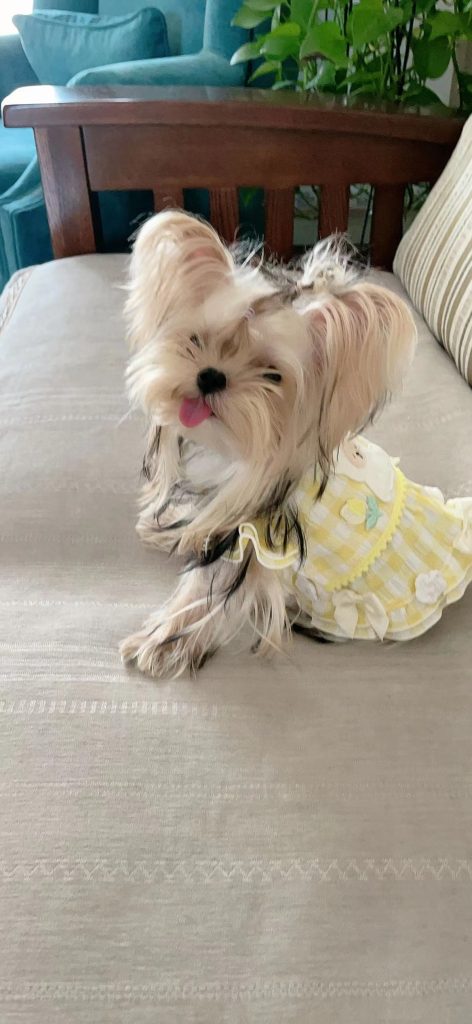 Customer photo shared with Elsamilu