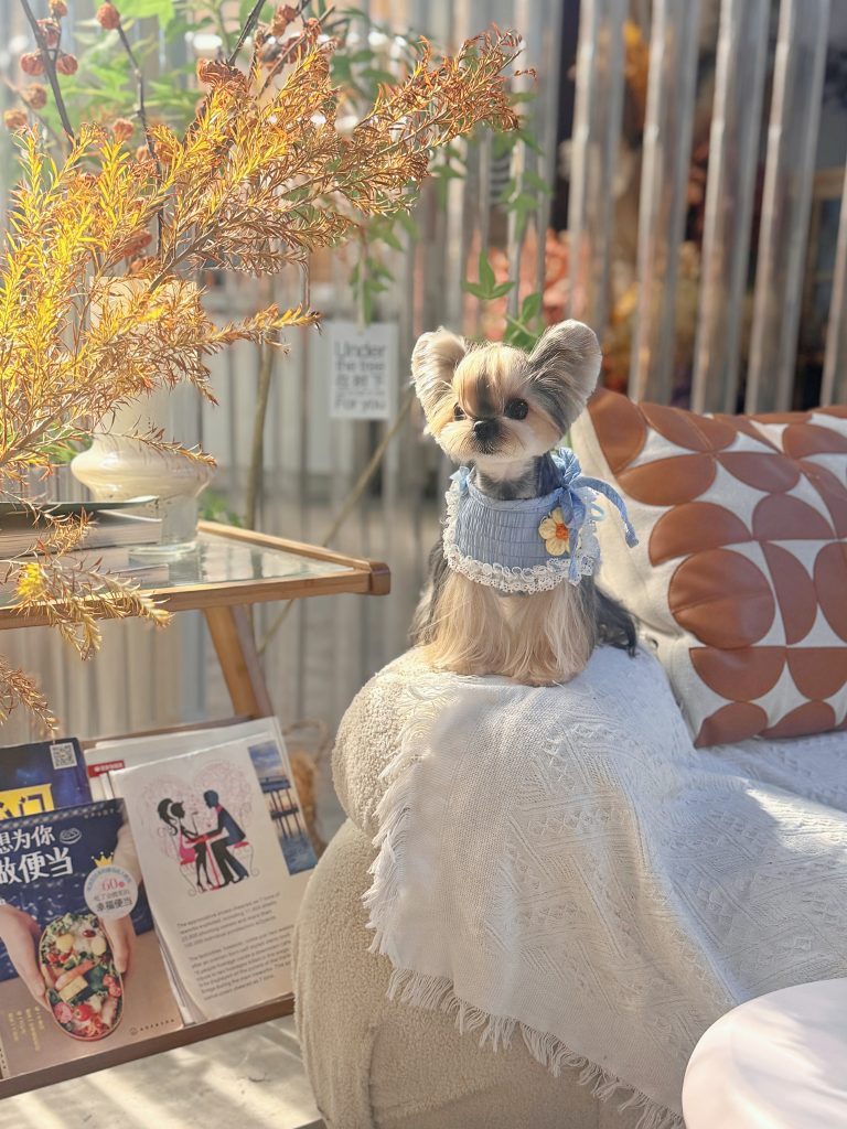 Customer photo shared with Elsamilu