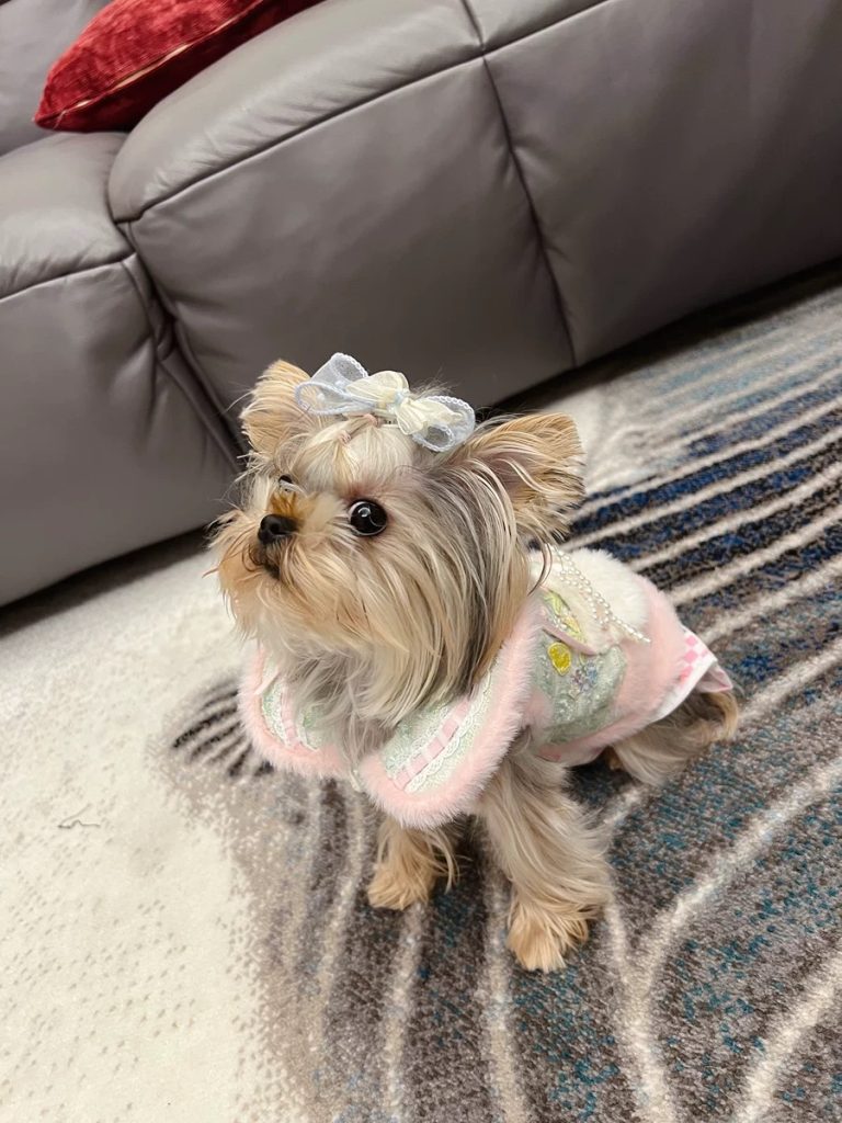 Customer photo shared with Elsamilu