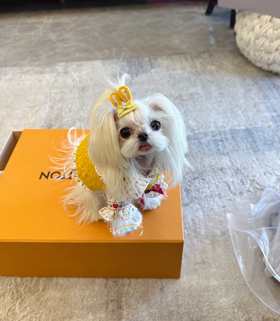 Customer photo shared with Elsamilu