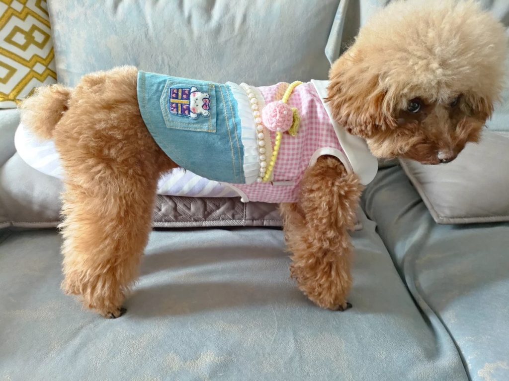 Customer photo shared with Elsamilu