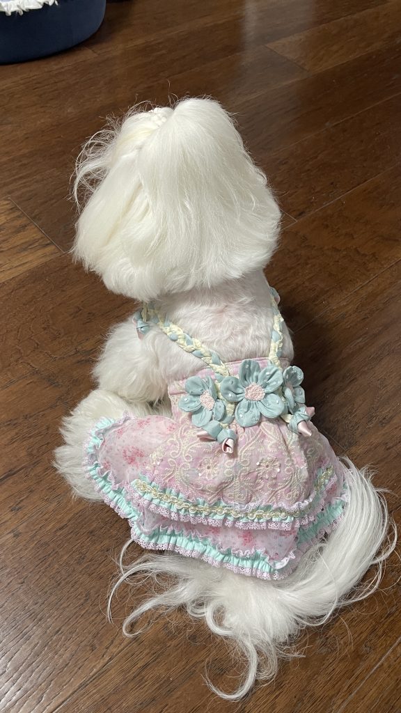 Customer photo shared with Elsamilu