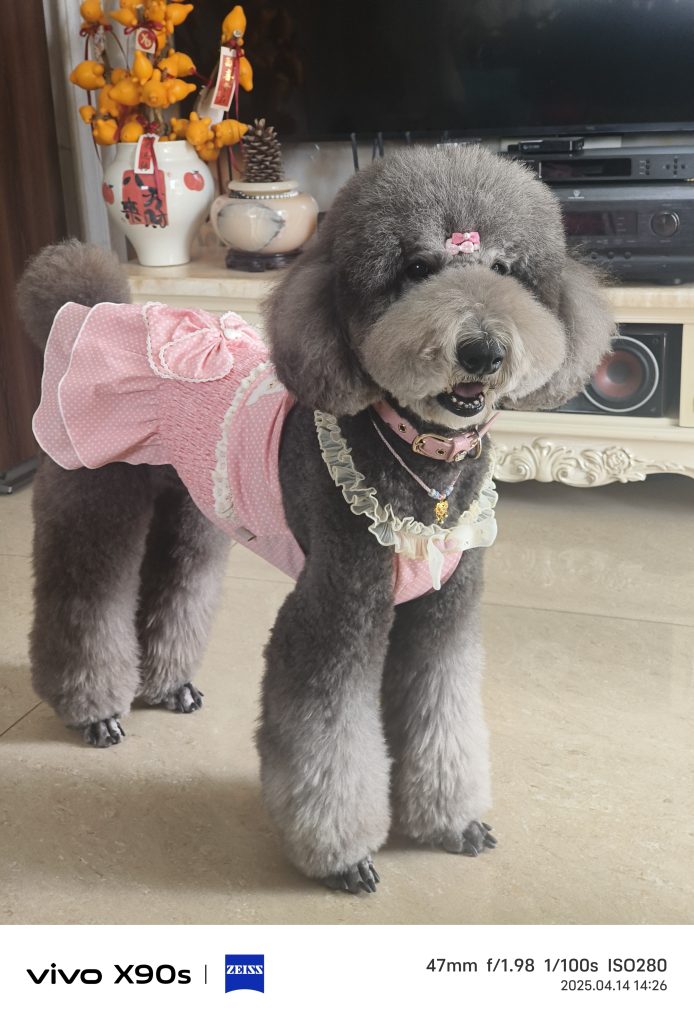 Customer photo shared with Elsamilu