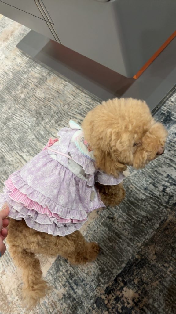 Customer photo shared with Elsamilu