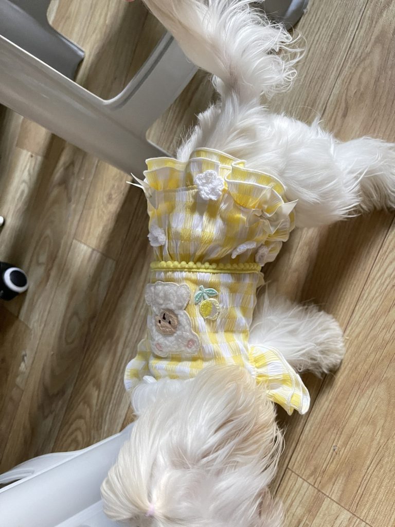 Customer photo shared with Elsamilu