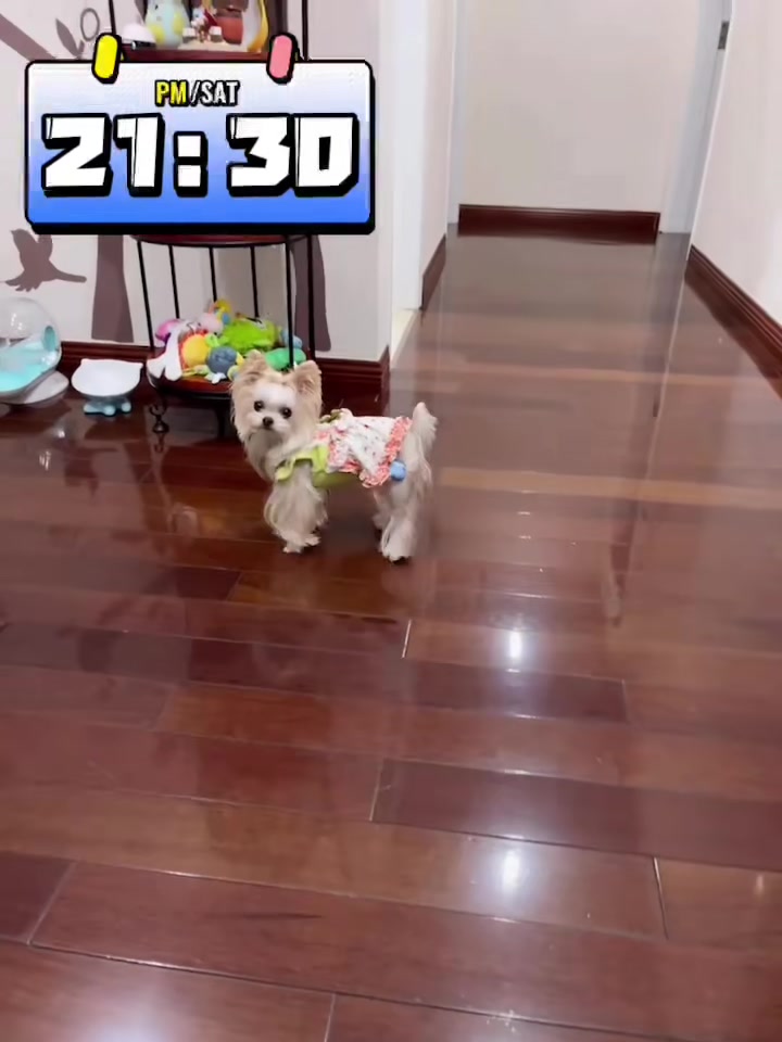 Customer video shared with Elsamilu