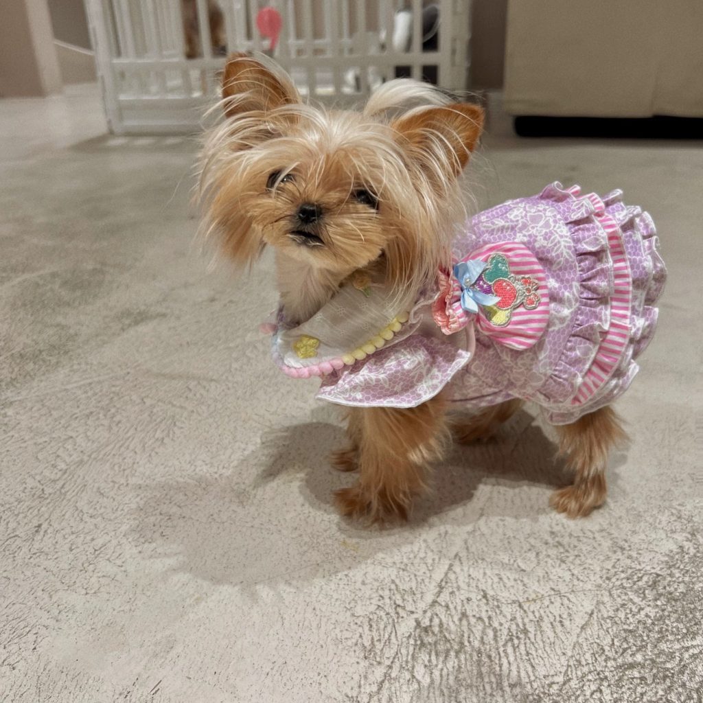 Customer photo shared with Elsamilu