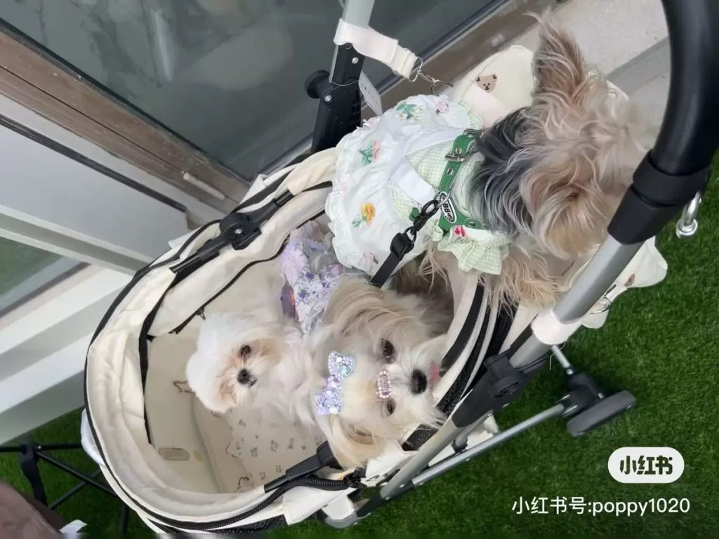 Customer photo shared with Elsamilu