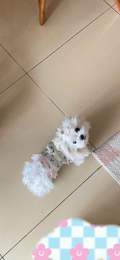 Customer photo shared with Elsamilu