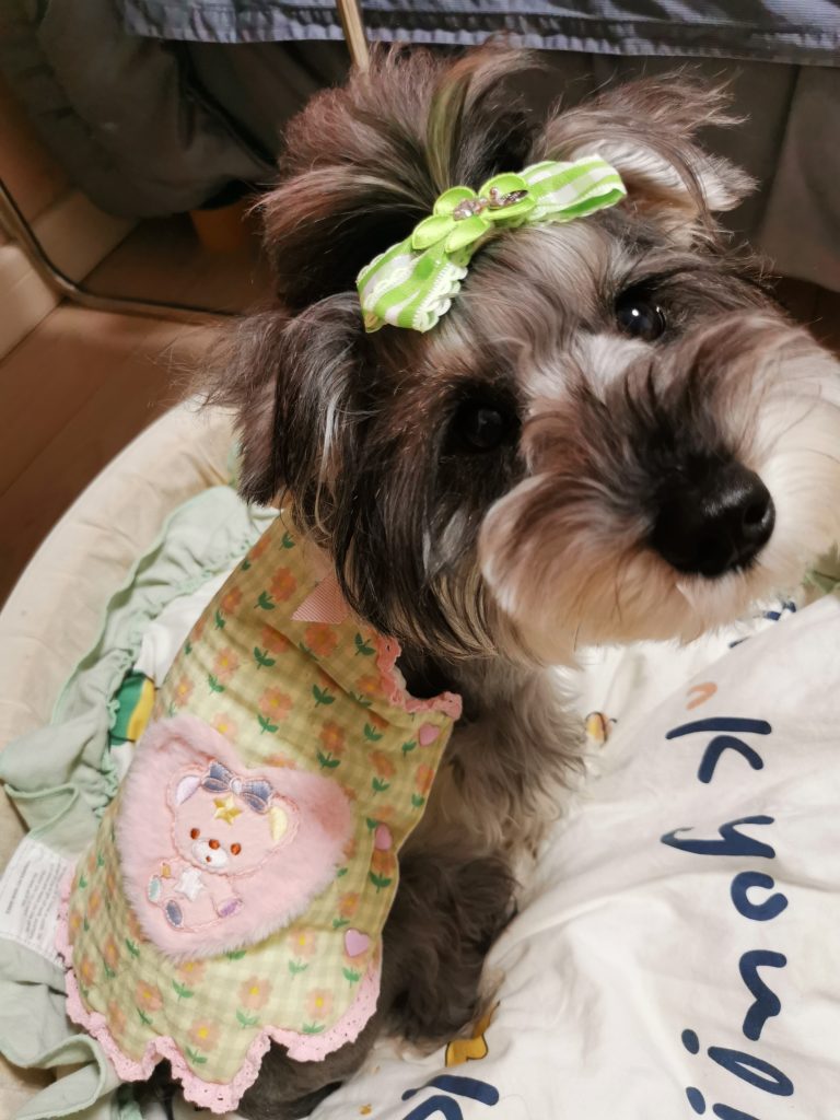 Customer photo shared with Elsamilu