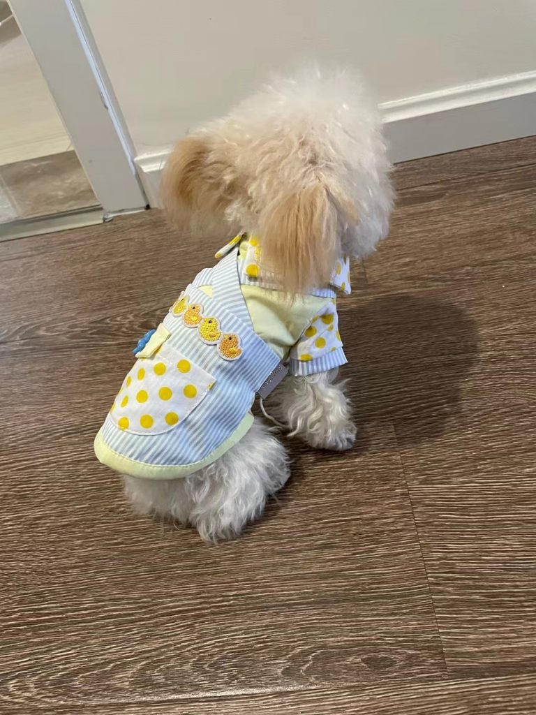 Customer photo shared with Elsamilu