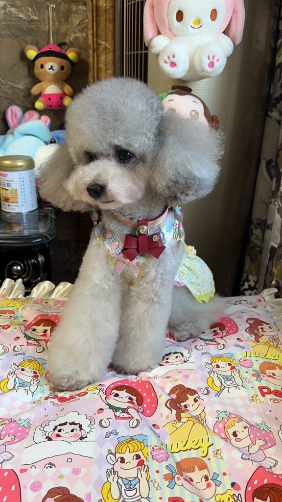 Customer photo shared with Elsamilu