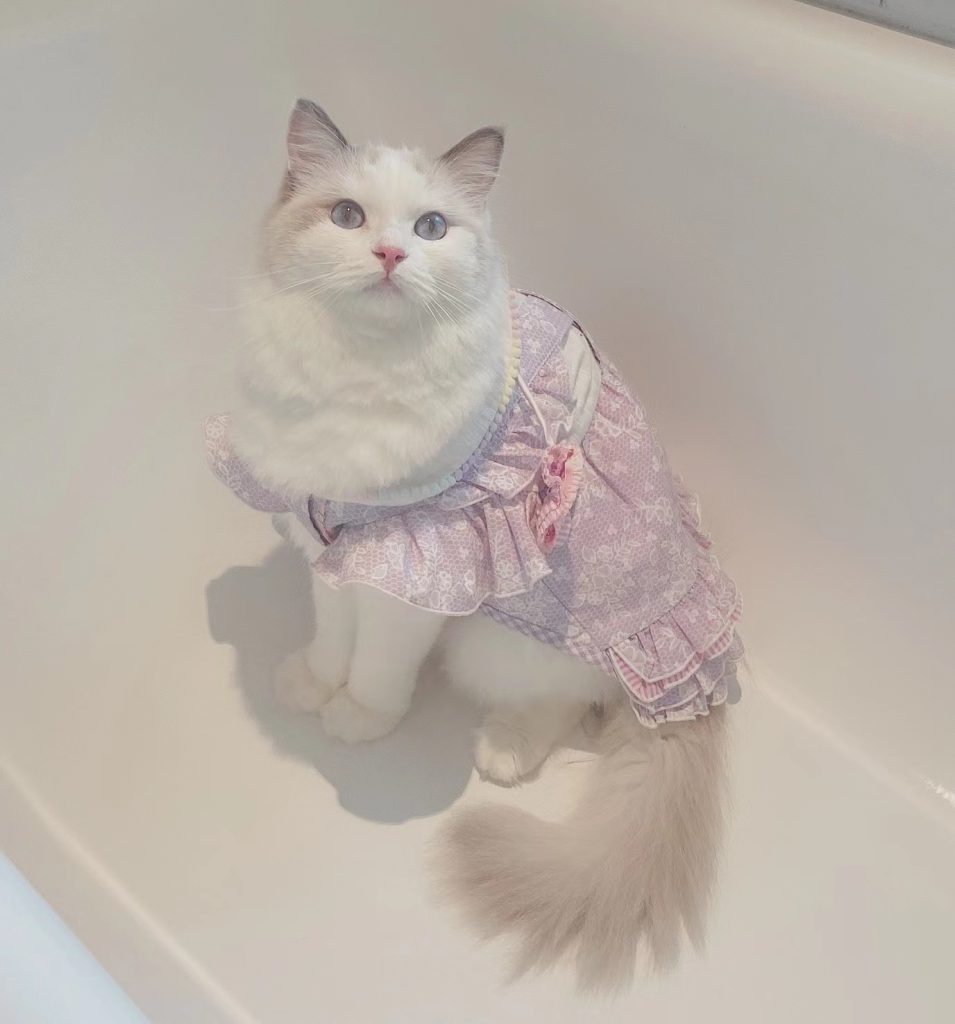 Customer photo shared with Elsamilu