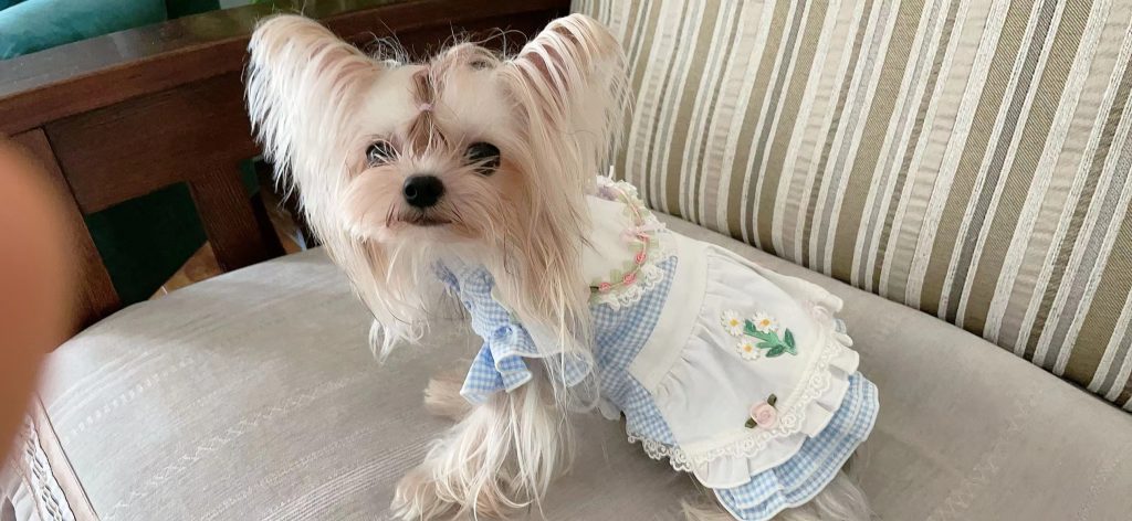 Customer photo shared with Elsamilu