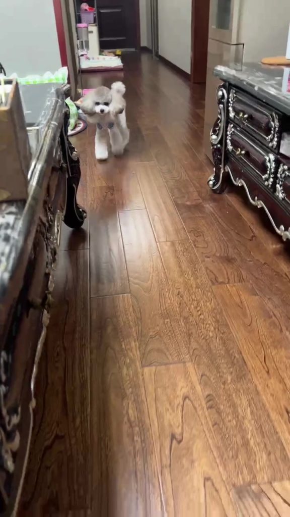 Customer video shared with Elsamilu