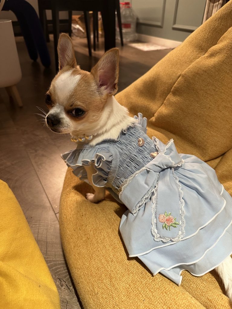 Customer photo shared with Elsamilu