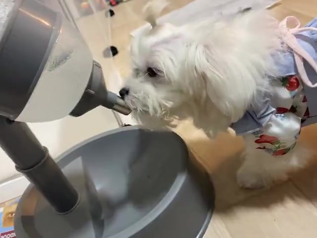 Customer video shared with Elsamilu