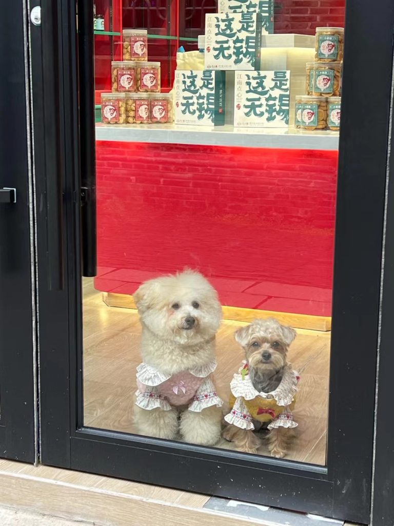 Customer photo shared with Elsamilu
