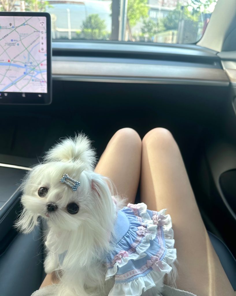 Customer photo shared with Elsamilu