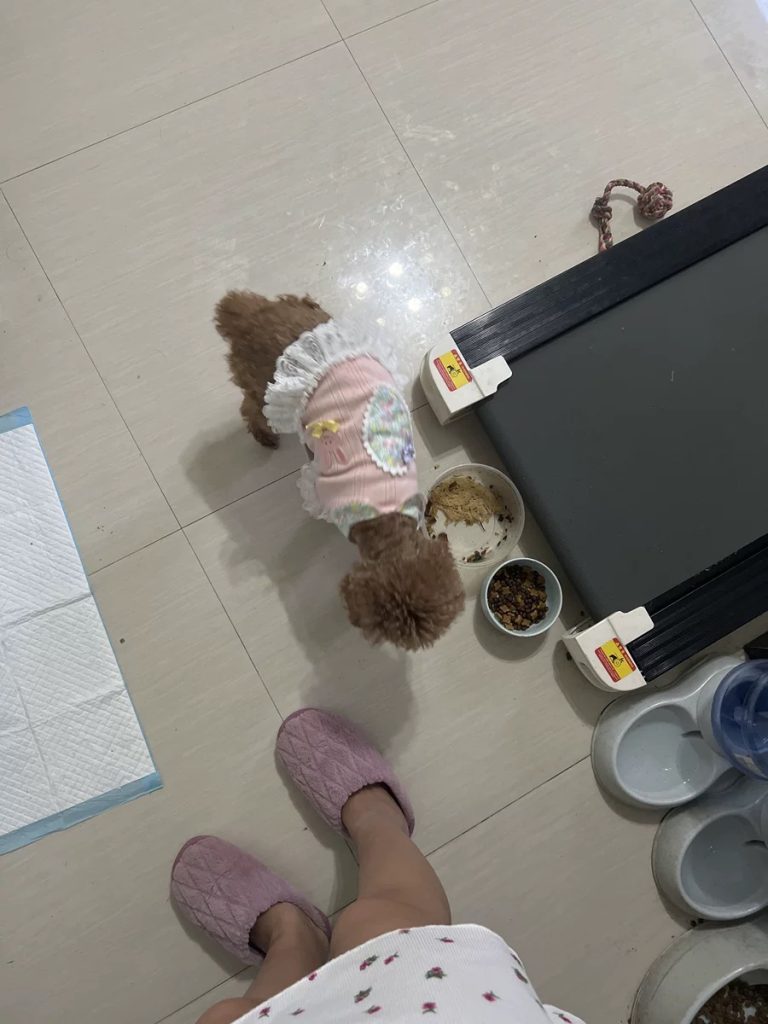 Customer photo shared with Elsamilu