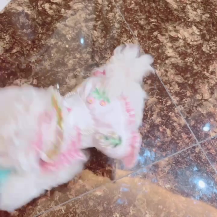 Customer video shared with Elsamilu