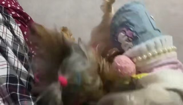 Customer video